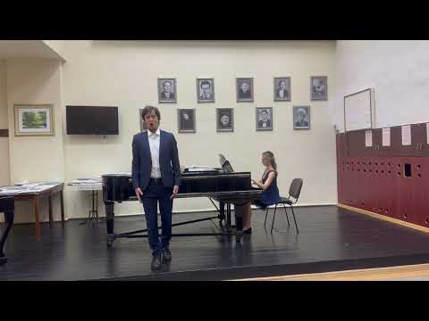 LA BOHÈME: "Vecchia zimarra, senti" | Severin Gheorghe