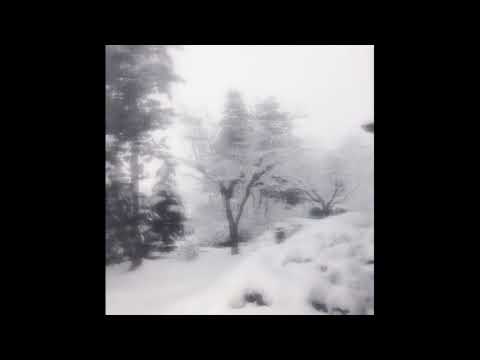 [free] bladee + ripsquad + capoxxo type beat - "Winter"  [dash + essscudo]