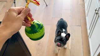 This Toy Keeps My Dog Busy For Hours!