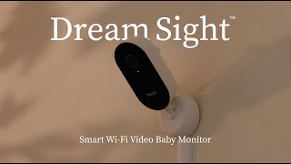 Owlet Meet Owlet Dream Sight