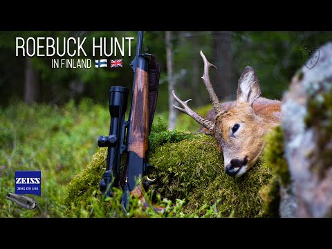 NH: Vårjakt på råbock | 2020