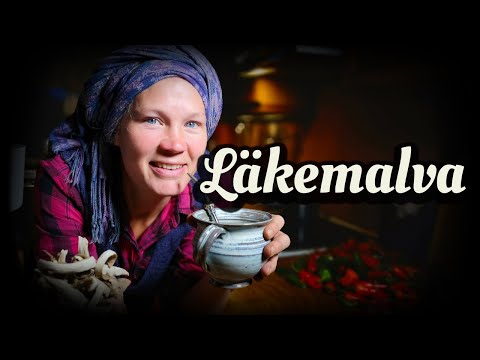 Skördar läkemalva-rötter till té! -Husets hostmedicin, väldigt enkelt!