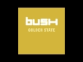 bush - Fugitive 