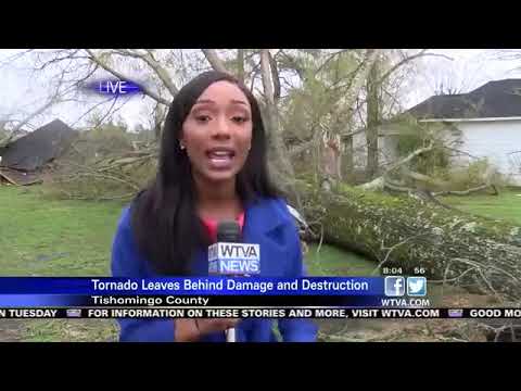 Tree fell on car during tornado outbreak in Tishomingo