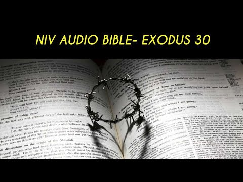 EXODUS 30 NIV AUDIO BIBLE (with text)