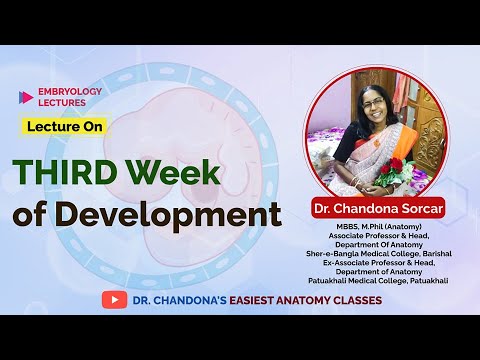 Lecture on 3rd Week of Development.
