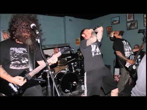 xDoperunnerx - Vegan For Status