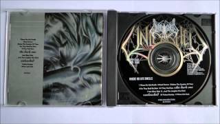 Unleashed - Where Life Ends