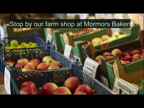 Blekinge Fruktträd Plantskola