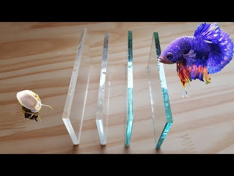 Acrylic vs. Low Iron Glass vs. Regular Glass Aquarium