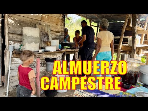 EPISODE #216: Eating Chickpeas again after 40 years.