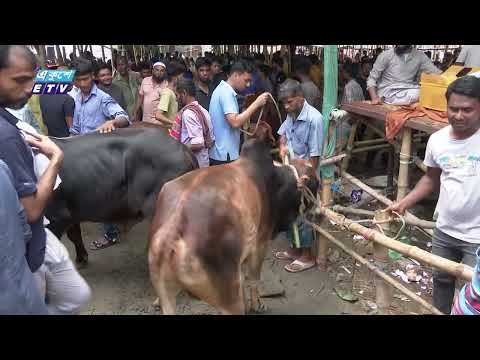 রাজধানীর হাটগুলোতে কোরবানীর পশু কিনতে শেষ সময়ে উপচে পড়া ভিড়