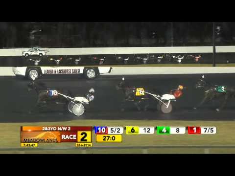 Meadowlands December 6, 2014 - Race 2 - Franzo
