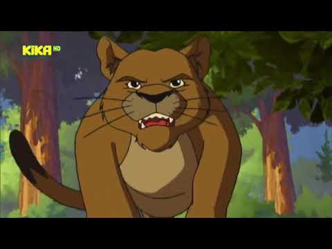 Yakari Deutsch Staffel 2 Folge 26 Fohlen in Gefahr