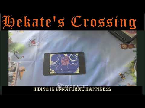 Hiding in Unnatural Happiness - Book