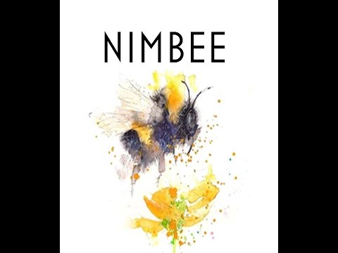 Nimbee: Overview and One Round Run Through