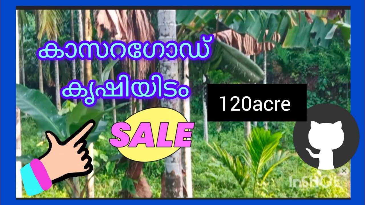 120acre agricultural Land for sale in kasaragod with farm fecilities