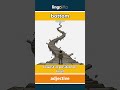 bottom (adjective) - definition and usage in English