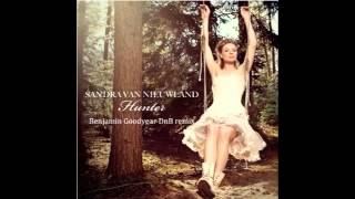 Sandra van Nieuwland - Hunter (BJGY DnB bootleg)