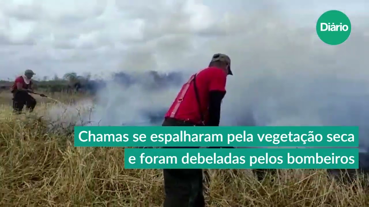 Imagem da notícia Foco de incêndio é registrado no Parque do Cocó, em Fortaleza; veja vídeo