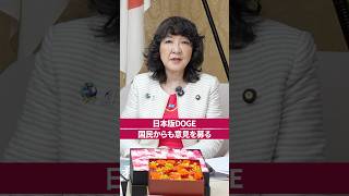 【日本版DOGE】国民からのご意見を受付［ 政治 片山さつき 補助金 ］