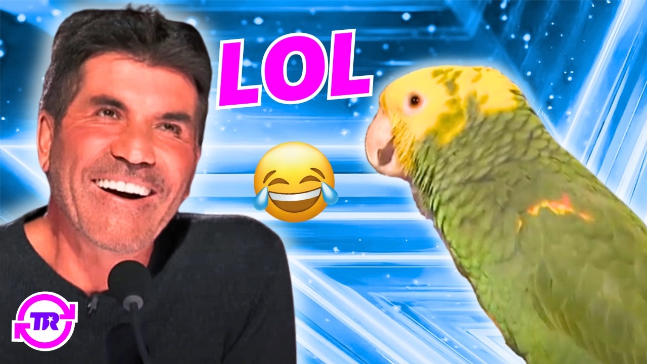 CRAZIEST Animal Acts You'll NEVER See Coming! 😱