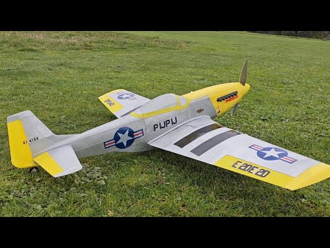 Eclipson P51D Mustand 3d printed