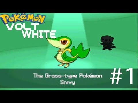 Pokemon Volt White Episode #1 OP Pidgeys