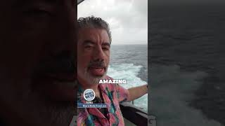 Brilliant Lady Nor'Easter Storm Update 2 #CruiseNews #Cruise