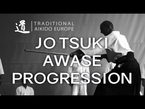 TRADITIONAL AIKIDO EUROPE - Jo Tsuki Awase Progression - LEWIS BERNALDO DE QUIROS - Malmsheim