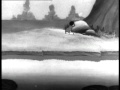 Disney's (1931) The Ugly Duckling