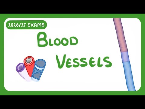 GCSE Biology - Blood Vessels (2026/27 exams)