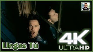 Nek - Llegas Tú (Official Video) [4K Remastered]