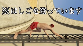 【GTA5】ただはしごを登るだけの動画