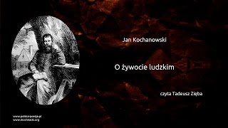 Kadr z teledysku O żywocie ludzkim tekst piosenki Jan Kochanowski