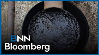 'Every day there's another piece of news that sends the price up or down': Campbell on oil