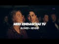 Meri Zindagi Hai Tu - Ost (Slowed + Reverb) | Asim Azhar & Sabri Sisters | Kaise Dil Lage Hai Tu 