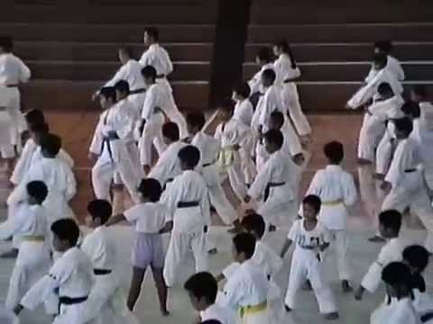 Okinawa Karate