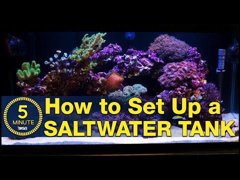 Saltwater aquarium setup - A simple, easy guide in 5 minute steps.