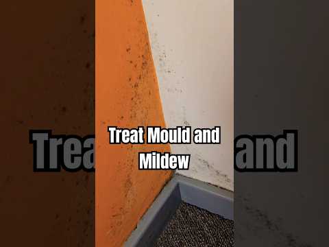 How To Treat Mould & Mildew (DIY)