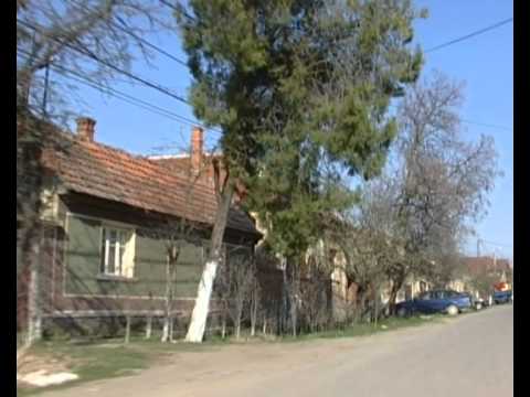 Ermelleki barangolasok Bors