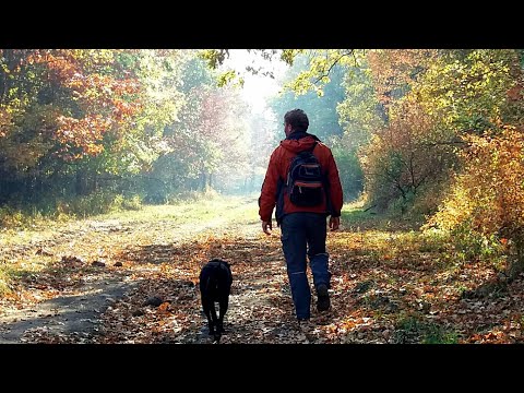 291. Mi-e dor de Tine, Doamne... 🎹 2018