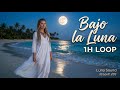 Bajo la Luna 🌙 1H Loop | Latin Chill Vibes 