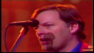 David Gilmour - Until We Sleep - Live In UK Music Show 03 March 1984 Full HD Remastered Flac Audio