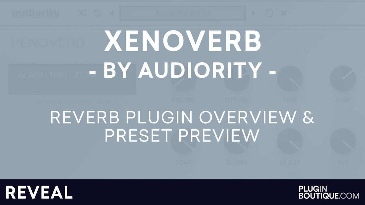 Video d64ce555-8fdd-488a-a480-a77e9cbaba83