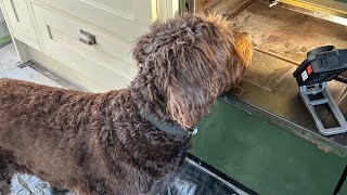 Album cover: Welcome to T&N Oven Cleaning Company 