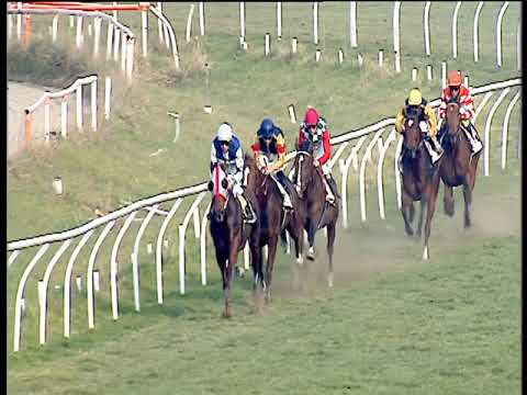 Galoppo 22/02/2019 - 1ª corsa