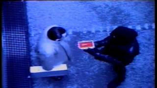 GIM [30]. Stiff Miners - Knowledge Of The Universe