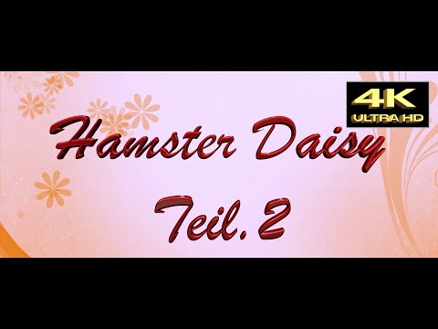 Hamster Daisy Teil 2. 4/K