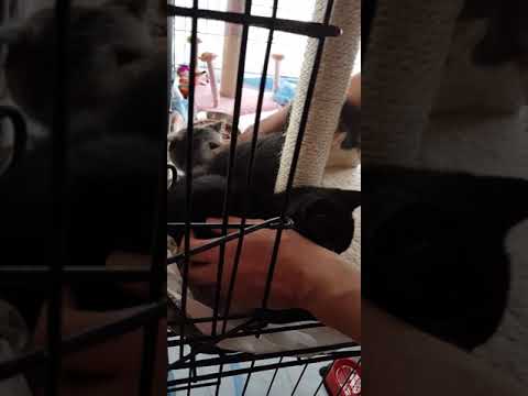 download lagu mp3 mp4 Lilac Gin And Tonic, download lagu Lilac Gin And Tonic gratis, unduh video klip Lilac Gin And Tonic